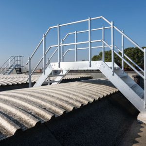 WhatsApp Image 2025-01-28 at 17.16.27